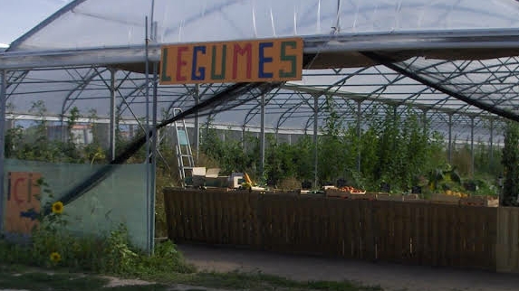 Noirmoutier legumes vente directe producteur