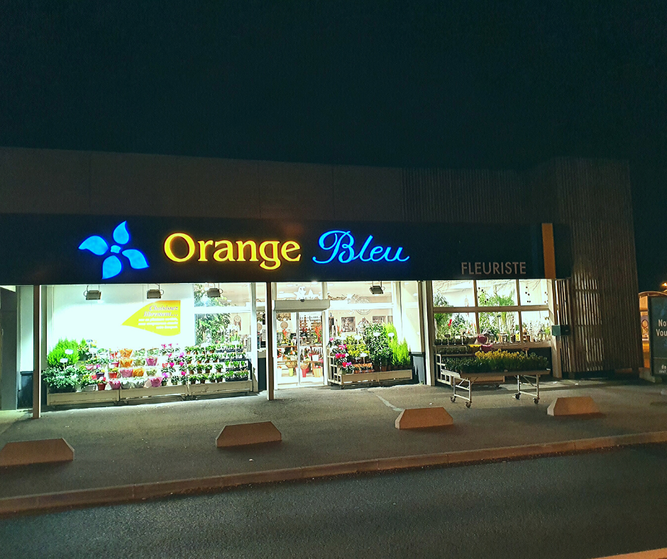 Orange Bleu Fleurs