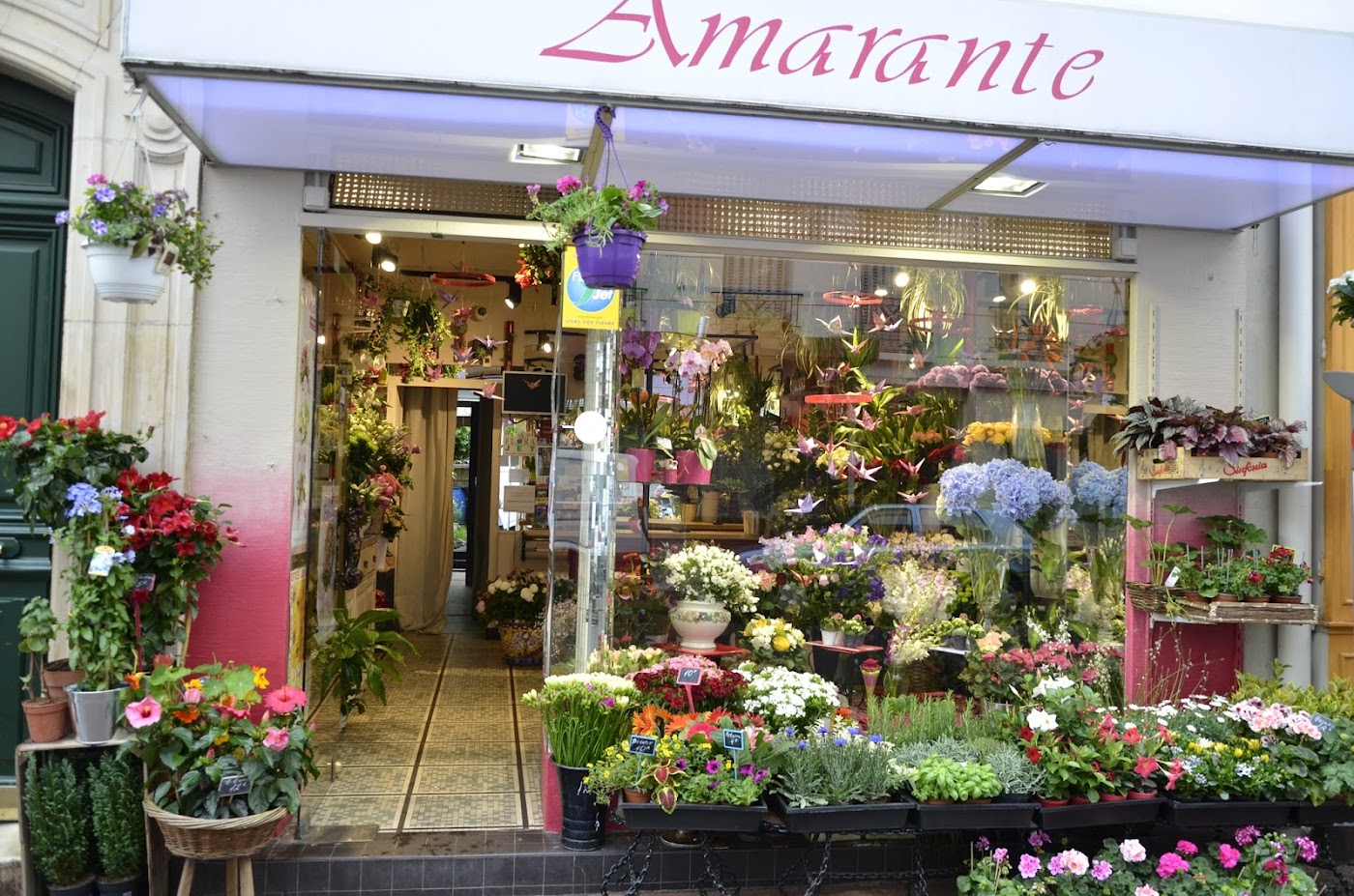 Amarante - fleuriste - décorateur.